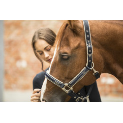 Cabeçada Lami-Cell Elegance Marinho / champanhe Azul