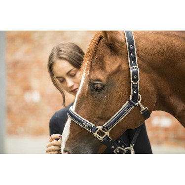 Cabeçada Lami-Cell Elegance Marinho / champanhe Azul