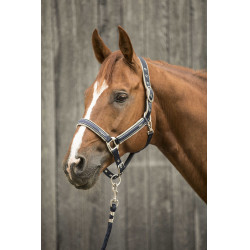 Cabeçada Lami-Cell Elegance Marinho / champanhe Azul