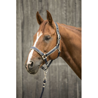 Cabeçada Lami-Cell Elegance Marinho / champanhe Azul