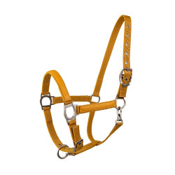 Caveção Lami-Cell LC Mel / dourado Amarelo