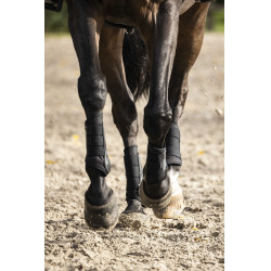Guétras fechadas Lami-Cell V22 Brushing boots Preto