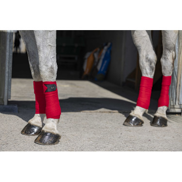 Bandagens de polo Riding World Eco Vermelho Bandagens de polo Riding World Eco Vermelho