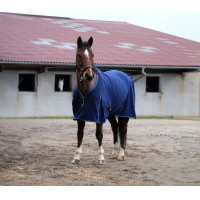 Camisa polar Equithème Classic Azul-marinho