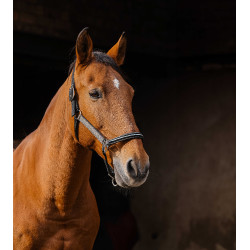 Cabresto de nylon Equithème Domino Cobre Castanho Cabresto de nylon Equithème Domino Cobre Castanho