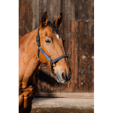 Cabresto de nylon Equithème Domino Azul royal