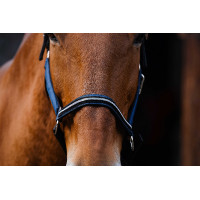 Cabresto de nylon Equithème Domino Azul Cabresto de nylon Equithème Domino Azul