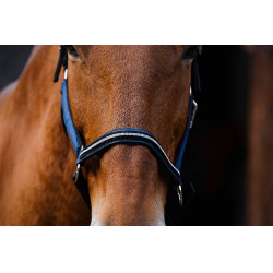 Cabresto de nylon Equithème Domino Azul royal