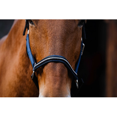 Cabresto de nylon Equithème Domino Azul royal