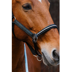 Cabresto de nylon Equithème Domino Verde Cabresto de nylon Equithème Domino Verde