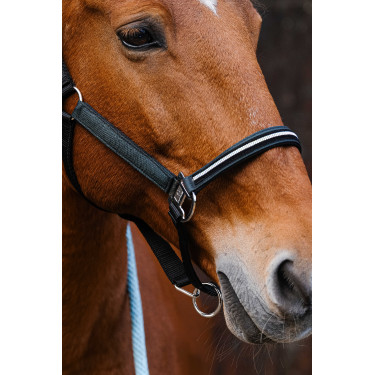 Cabresto de nylon Equithème Domino Verde Cabresto de nylon Equithème Domino Verde