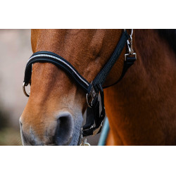 Cabresto de nylon Equithème Domino Verde Cabresto de nylon Equithème Domino Verde