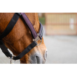 Cabresto de nylon Equithème Domino Violeta Cabresto de nylon Equithème Domino Violeta