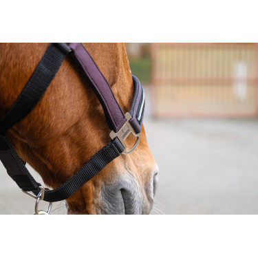 Cabresto de nylon Equithème Domino Violeta Cabresto de nylon Equithème Domino Violeta