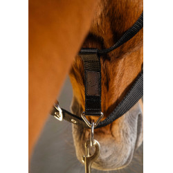 Cabresto de nylon Equithème Domino Bordéus Bordô Cabresto de nylon Equithème Domino Bordéus Bordô