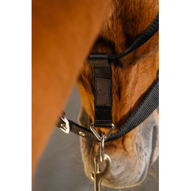 Cabresto de nylon Equithème Domino Bordéus Bordô Cabresto de nylon Equithème Domino Bordéus Bordô