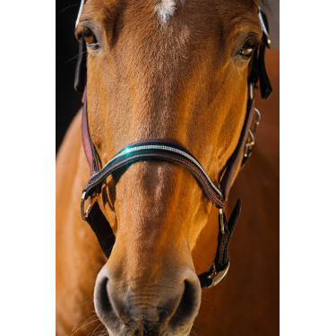 Cabresto de nylon Equithème Domino Bordéus Bordô Cabresto de nylon Equithème Domino Bordéus Bordô