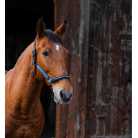 Cabresto de nylon Equithème Domino Azul Cabresto de nylon Equithème Domino Azul