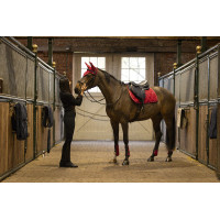 Guizos com proteção para boleto Lami-Cell Elite Vermelho