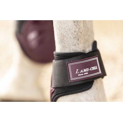 Guizos com proteção para boleto Lami-Cell Elite Bordéus Bord&amp;amp;amp;amp;amp;ocirc;