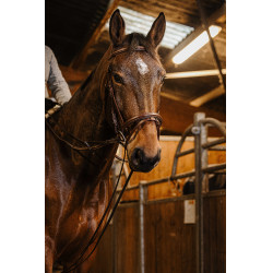 Rendas alemãs cinta Norton Pro 13mm Havana Castanho