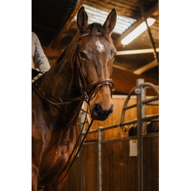 Rendas alemãs cinta Norton Pro 13mm Havana Castanho