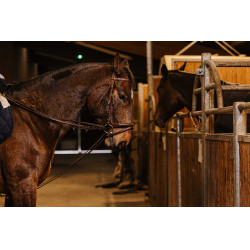 Rendas alemãs cinta Norton Pro 13mm Havana Castanho