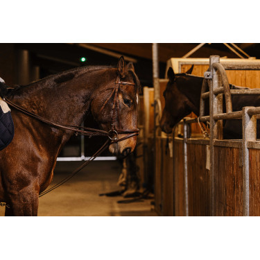 Rendas alemãs cinta Norton Pro 13mm Havana Castanho