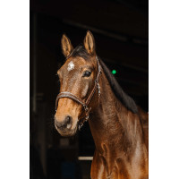 Cabezada de couro Norton Rock Preto