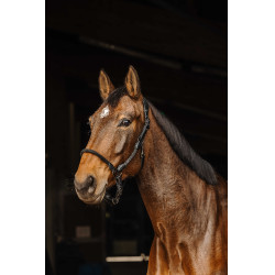 Cabeçada de couro/corda Norton Preto