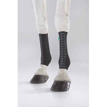 Equicrown Fit canhão posterior