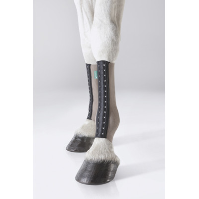 EQUICROWN FIT SILVER - CANON POSTERIEUR