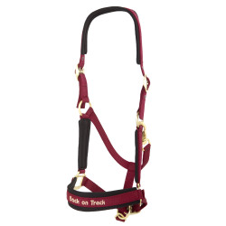 Licol Werano Back On Track Bordeaux Licol Werano Back On Track Bordeaux