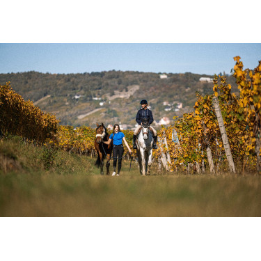 Suéter Equithème Hervé Azul-marinho