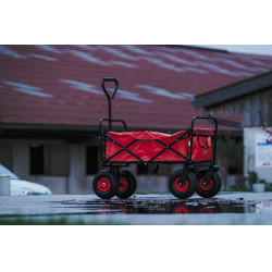 Carrinho 4 rodas Hippotonic Vermelho