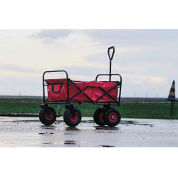 Carrinho 4 rodas Hippotonic Vermelho