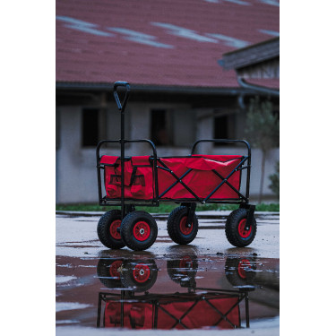 Carrinho 4 rodas Hippotonic Vermelho