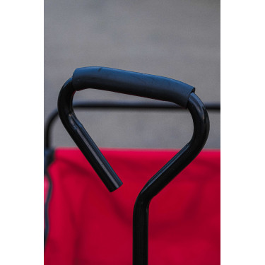 Carrinho 4 rodas Hippotonic Vermelho