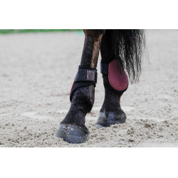 Protetor de boleto Equithème Bordéus Bord&amp;amp;amp;amp;amp;ocirc;