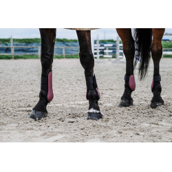 Protetor de boleto Equithème Bordéus Bord&amp;amp;amp;amp;amp;ocirc;