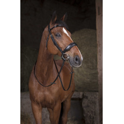 Rendas de malha NORTON - 16 mm Preto