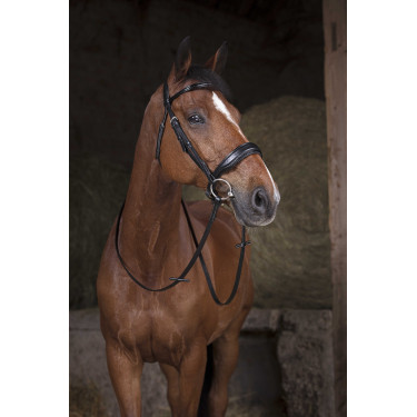 Rendas de malha NORTON - 16 mm Preto