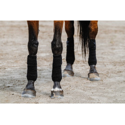Bandagens de polo Equithème em conjunto de 4 Preto