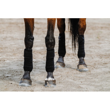 Bandagens de polo Equithème em conjunto de 4 Preto