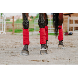 Bandagens de polo Equithème em conjunto de 4 Vermelho Bandagens de polo Equithème em conjunto de 4 Vermelho