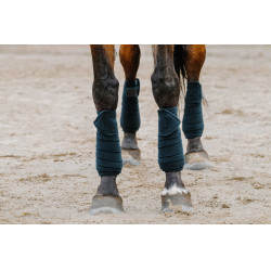 Bandagens de polo Equithème em conjunto de 4 Verde escuro