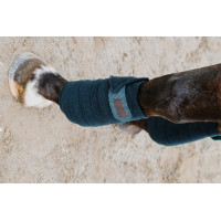 Bandagens de polo Equithème em conjunto de 4 Preto