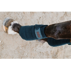Bandagens de polo Equithème em conjunto de 4 Verde escuro