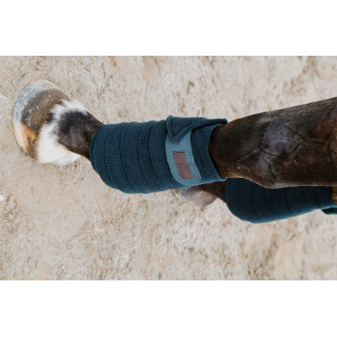 Bandagens de polo Equithème em conjunto de 4 Verde escuro