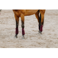 Bandagens de polo Equithème em conjunto de 4 Bordéus Bord&amp;amp;amp;amp;amp;ocirc;